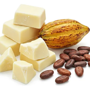 MANTECA DE CACAO