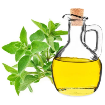 ESENCIA DE OREGANO
