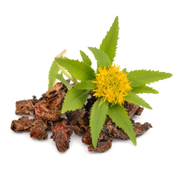 ES RHODIOLA