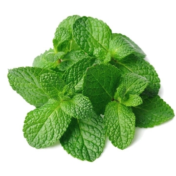 ESENCIA DE MENTA PIPERITA