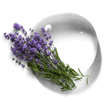 HIDROLATO DE LAVANDA
