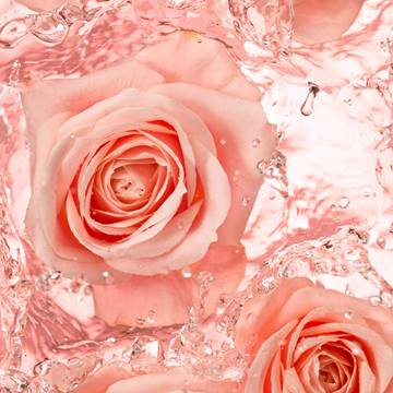 HIDROLATO DE ROSAS