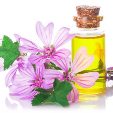 EXTRACTO HIDROGLICERICO MALVA